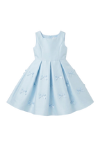 Little Reverie Sky